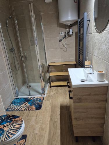 a bathroom with a shower and a toilet and a sink at Studio centre-clim-parking privée-rdc in Saint-Gaudens
