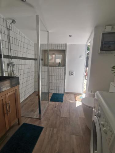 a bathroom with a shower and a sink and a toilet at Casa d'Olivier chambre d'hôtes in Arles