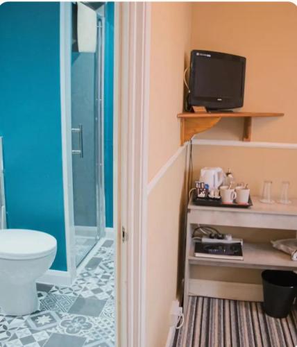 a bathroom with a toilet and a tv on a shelf at Trillberry Guesthouse in Weymouth
