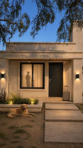 a dog laying in front of a house at Calma in Miramar