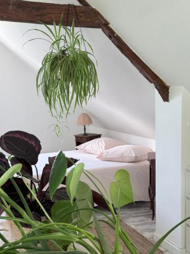 a bedroom with a bed and potted plants at Chez Joséphine in Gerville