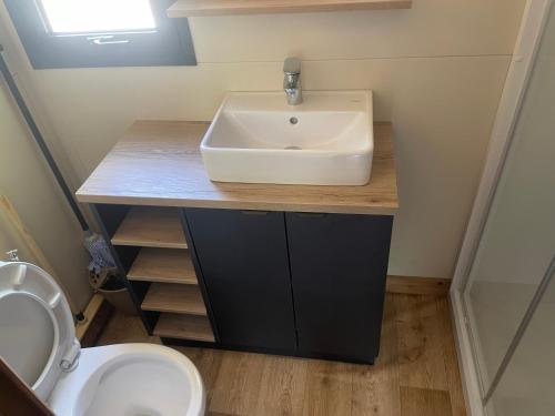 a bathroom with a sink and a toilet at Camping Onlycamp les Cochards in Seigy