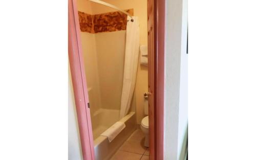 a bathroom with a shower and a toilet at Sunflower Inn Atlantic City Absecon in Galloway
