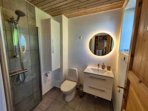 ein Badezimmer mit Toilette, Waschbecken und Dusche in der Unterkunft Exklusive Lage Direkt Am Wasser in Kolding