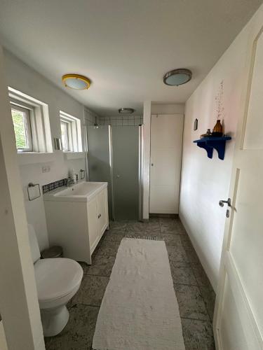 a bathroom with a toilet and a sink at Family Friendly Holiday Home In Orø in Holbæk
