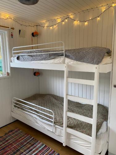two white bunk beds in a room with a rug at Peaceful Cottage By The Beach And Nature in Spottrup