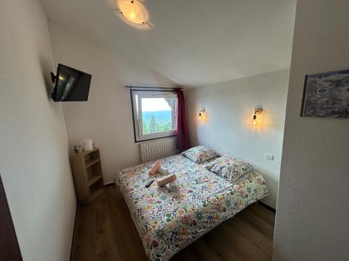 a small bedroom with a bed and a window at La bagatelle in Saint-Michel-de-Chaillol