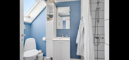 a bathroom with a white toilet and a blue wall at Cozy Holiday Home With Character in Nakskov