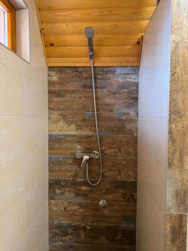 a shower in a bathroom with a wooden wall at Vlasic Odmor - Villa Krajina IV & jacuzzi in Vlasic