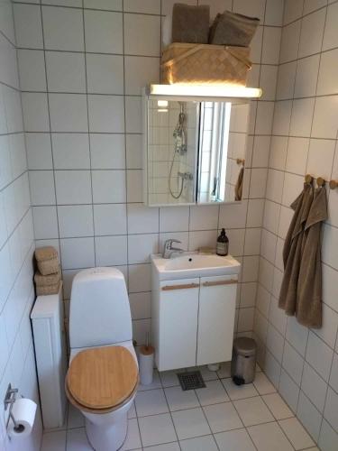 a bathroom with a toilet and a sink and a mirror at Cozy Summerhouse With Spectacular Views in Ølsted