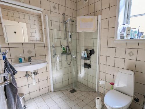 a bathroom with a shower and a toilet and a sink at Lovely 2-Story Cabin By The Sea On Bornholm in Svaneke