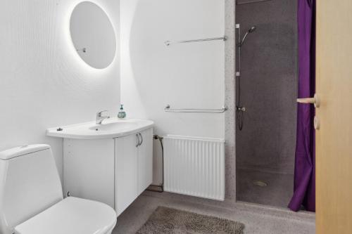 a bathroom with a sink and a toilet and a shower at Cozy Apartment In Tønder in Tønder