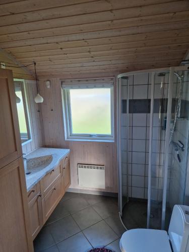 a bathroom with a shower and a sink and a toilet at Cozy And Well-Maintained Holiday Home in Eskebjerg