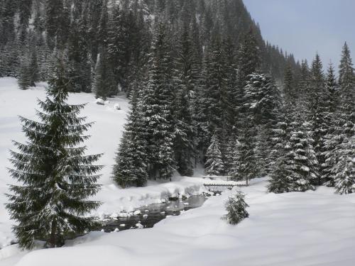 a snow covered forest with a river and trees at Arnica Montana in Arieşeni