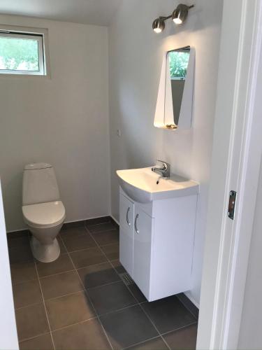 a bathroom with a sink and a toilet at Holiday Home Near Nordstrand Nykøbing Sj in Nykøbing Sjælland