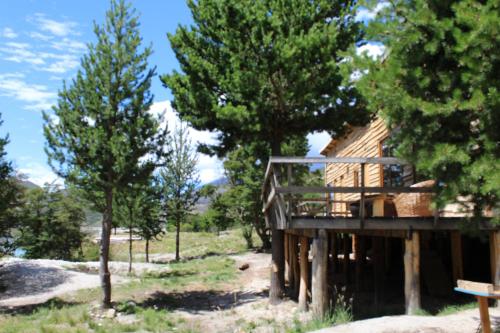 a wooden cabin in the woods with trees at Baker Domo Lodge in Cochrane