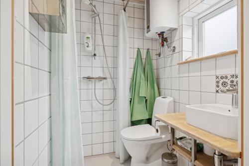 a bathroom with a toilet and a sink and a shower at Small Oasis Near Coast And Town in Ebeltoft