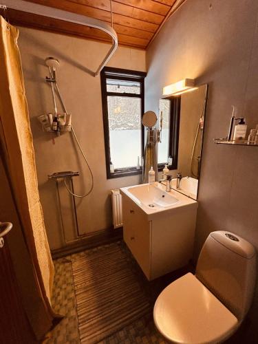 a bathroom with a sink and a toilet and a window at Charming And Cozy Cottage in Tranekær