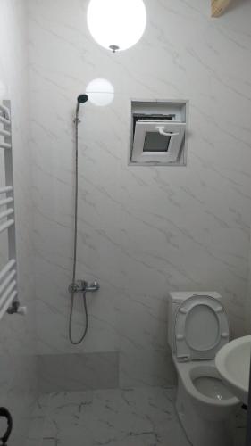 a bathroom with a shower and a toilet and a sink at Rati's Oda in Aspindza