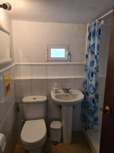 a small bathroom with a toilet and a sink at El Valle in Piedralaves