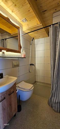 a small bathroom with a toilet and a sink at 3 Peaks Houses - Domki Całoroczne in Sokołowsko