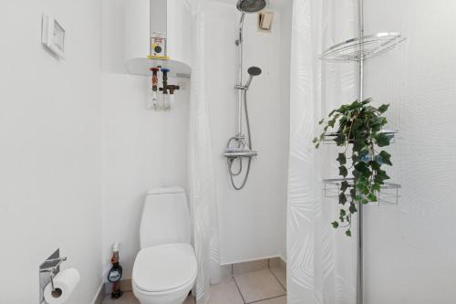 a white bathroom with a toilet and a shower at Holiday Apartment With Sea View in Hadsund