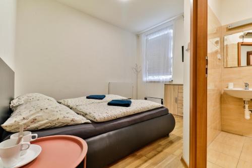 a bedroom with a bed and a sink and a table at Hostel u Arény in Ostrava