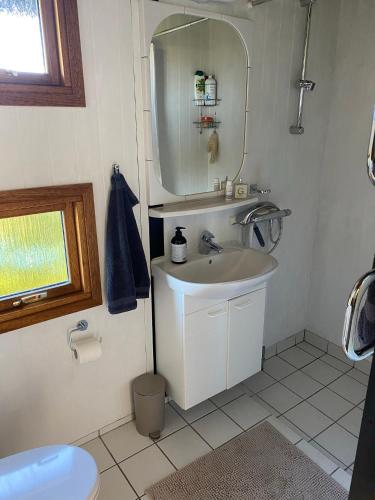 a bathroom with a sink and a mirror at Veddinge Odsherreddenmark - House With Seaview in Asnæs
