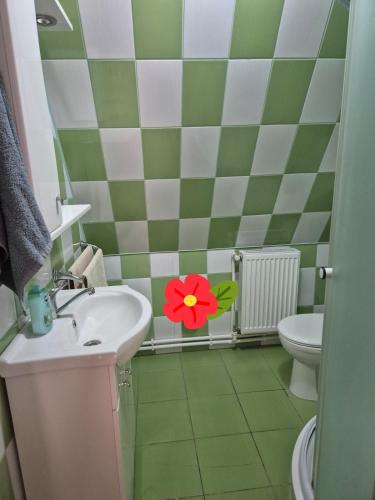 a bathroom with a sink and a flower on the wall at Csendliget kulcsosház in Sub Cetate
