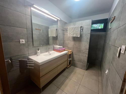 a bathroom with a sink and a mirror at Gîte la biche des écrins in Prunières