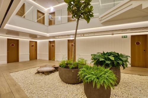 Hotel Ybarra Sevilla photo 159