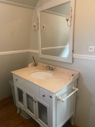 a bathroom with a sink and a mirror at Oude Dorp Zicht in Urk