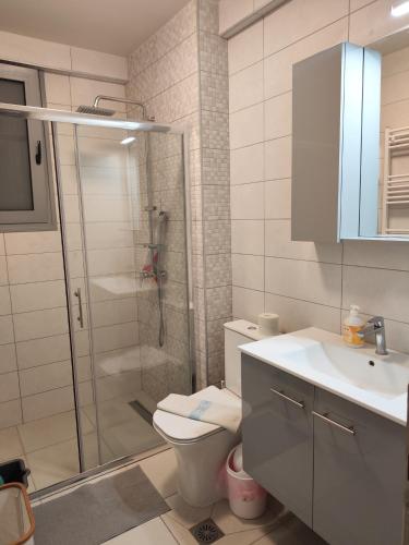 a bathroom with a shower and a toilet and a sink at Luxury Suite Gala in Nikiti