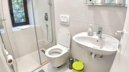 a small bathroom with a toilet and a sink at Stone House Perast in Kotor