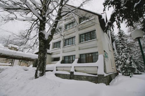 Gallery image of Hotel Fersped in Mavrovo