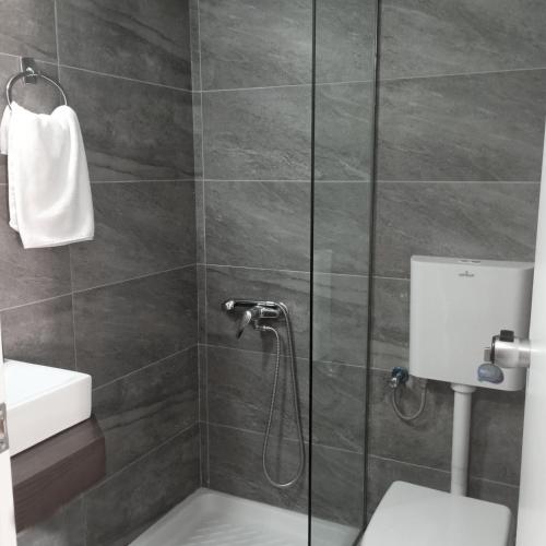 a bathroom with a shower with a toilet and a sink at Hotel Giorgio in Athens