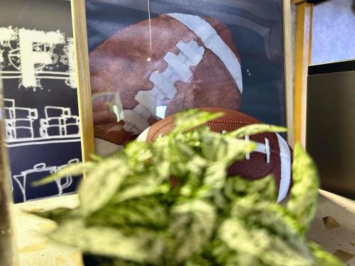 a picture of a football and a plant on a table at ibis Budget Beaune in Beaune