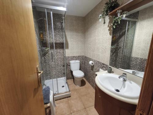 a bathroom with a shower and a sink and a toilet at Apartament l'Adou in Bagá