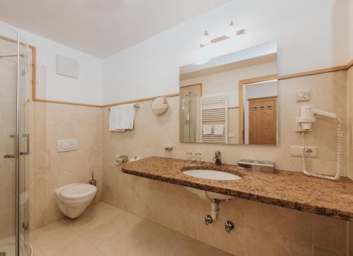 a bathroom with a sink and a toilet and a mirror at Hotel Plunger in Castelrotto
