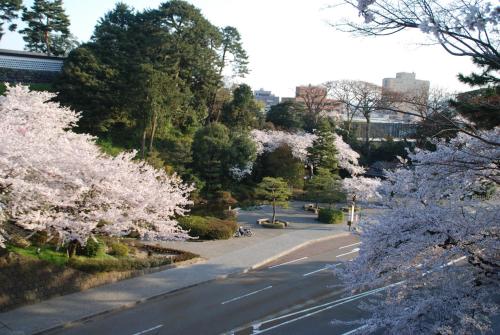 a street withakura trees on the side of a road at Town Hotel 41 in Kanazawa