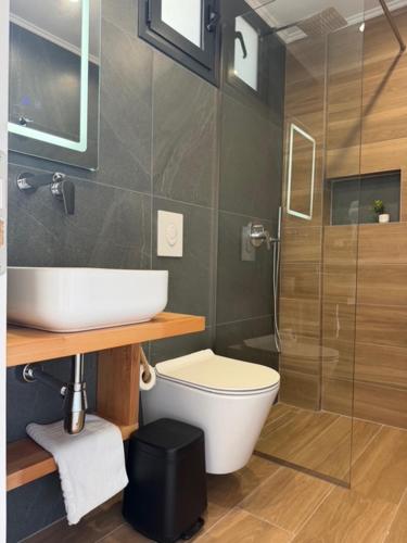 a bathroom with a toilet and a sink and a shower at Filikuri Boutique Hotel in Himare