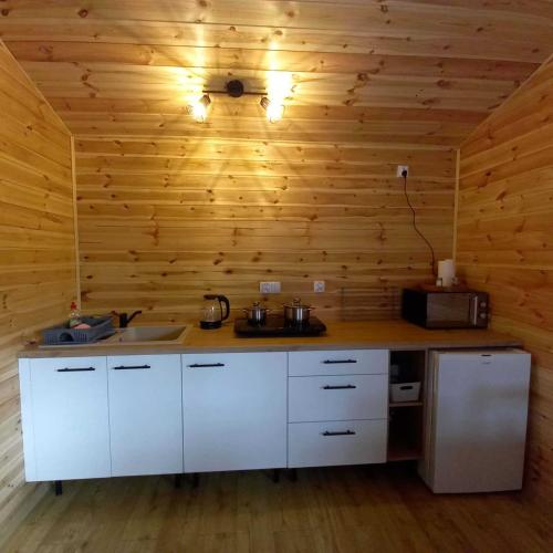 a kitchen with white cabinets and a wooden wall at Ostoja Semlińska in Semlin
