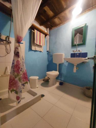 a bathroom with a toilet and a sink at Kastro Astypalea Spitaki in Astypalaia