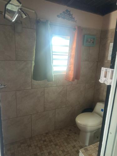 a bathroom with a shower with a toilet and a window at Los Machos surf shack in Ceiba
