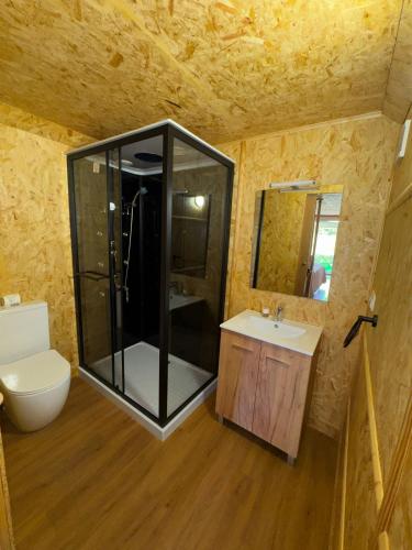 ein Badezimmer mit Dusche, Toilette und Waschbecken in der Unterkunft Albergue e AL O Brasão Valença in Valença
