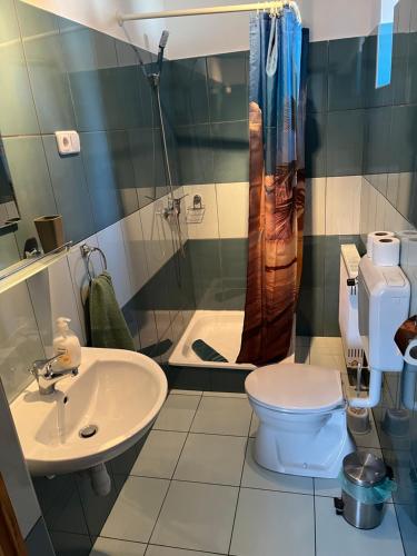 a bathroom with a sink and a toilet and a shower at Liliom Vendégház in Bakonybél