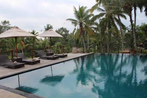 Bazén v ubytování Manyi Village Ubud nebo v jeho okolí