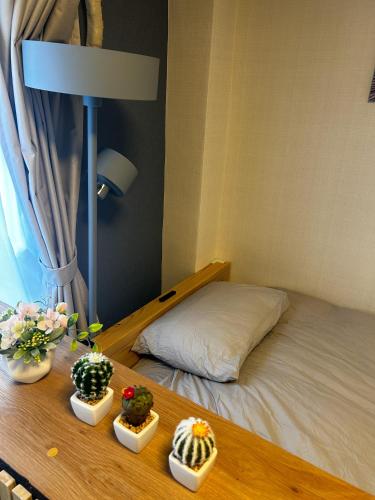 Fuji Hotel Tokyo Hikifune 206