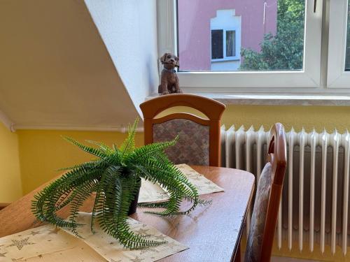 a wooden table with a plant on top of it at Modern Stay Apartments in Kassel