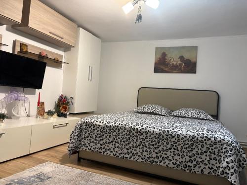 a bedroom with a bed and a flat screen tv at Căsuța Verde in 2 Mai